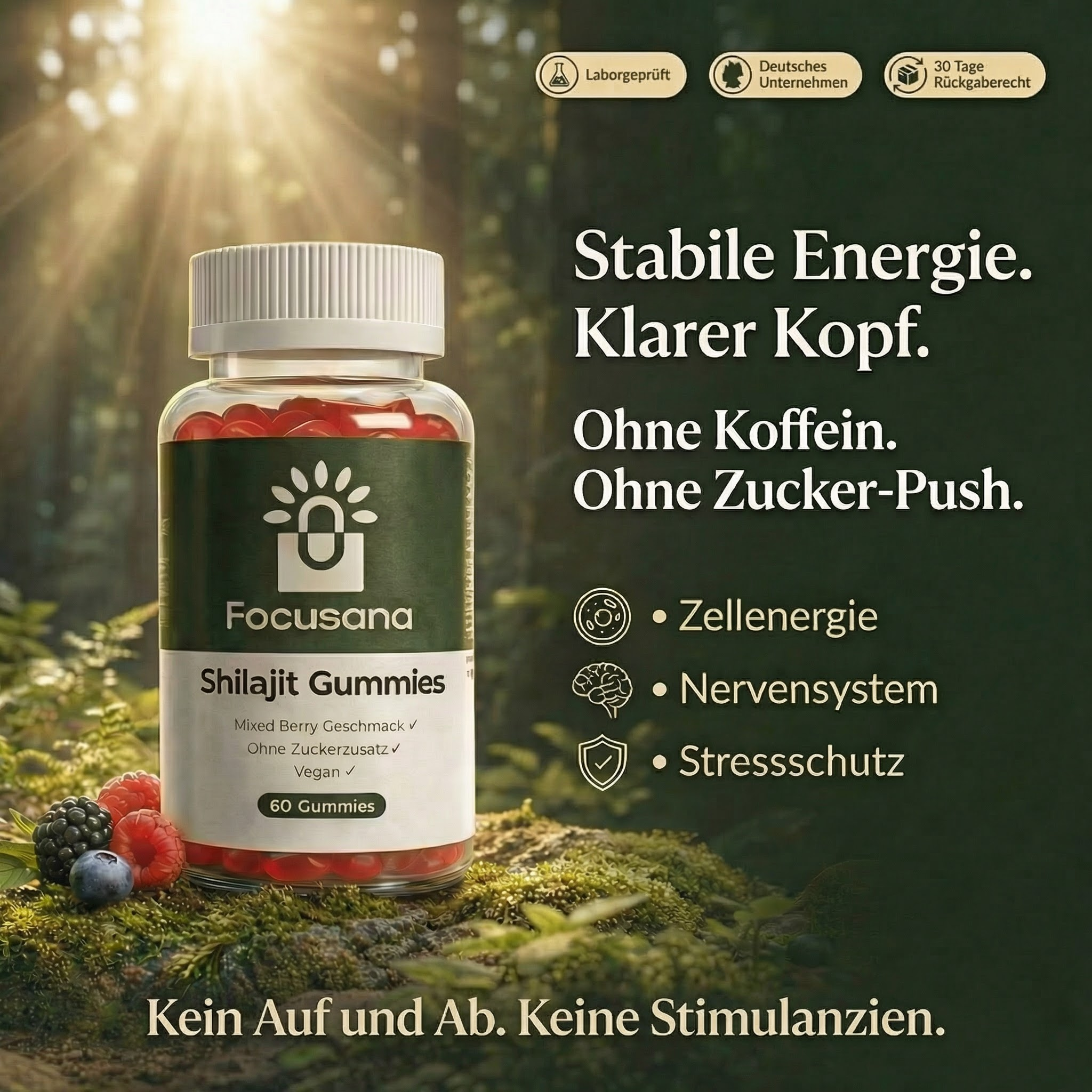 Premium Shilajit Gummies 1000 + Vitamin C,B6, B12 - 60 Stk